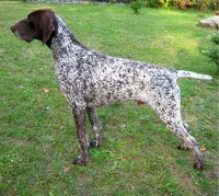 /album/co-jsme-kryli/monty-jpg1/