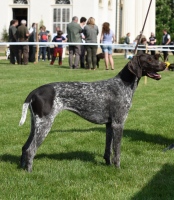 /album/odchovanci/chyta-png/