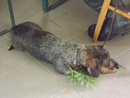 Danka od řeky Lomnice