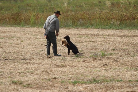 Gita z Čimelických stání PZ 292 bodů