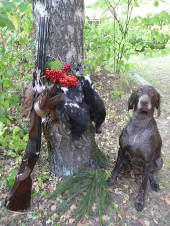 Gábi z Čimelických strání