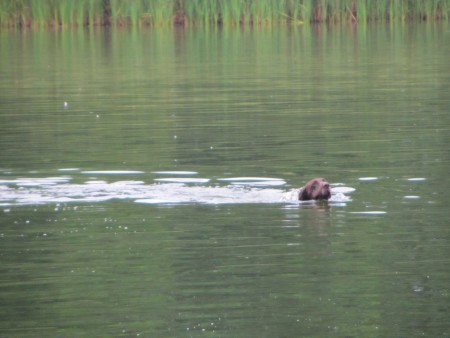 Paris ochota práce na vodě
