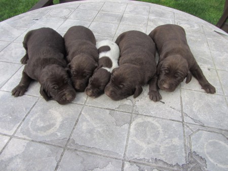 Gita vrh J 22.8.2016