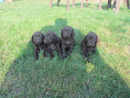 Vrh J feny 13.9.2016